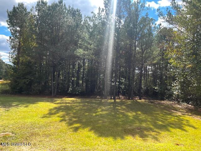 14151 N Highway 35 Property Photo 4