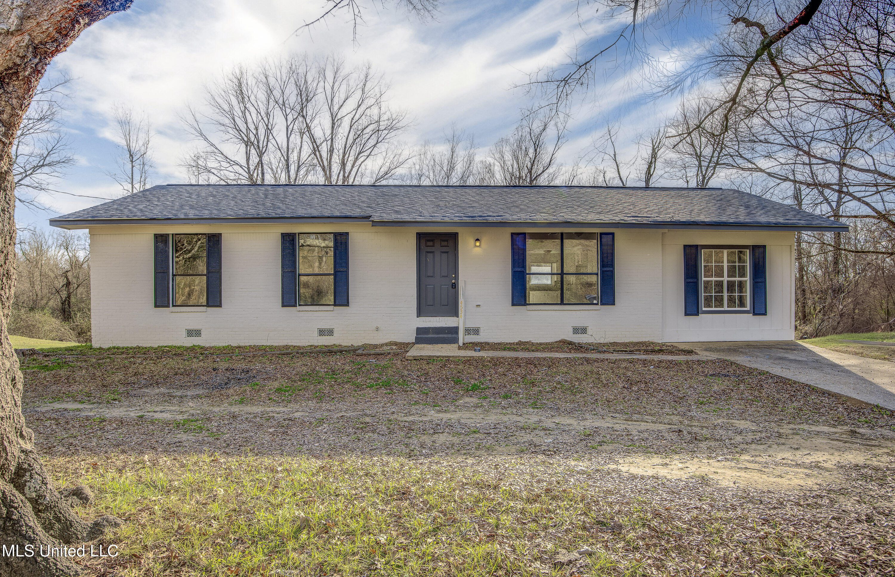 4534 Halls Ferry Road Property Photo 1