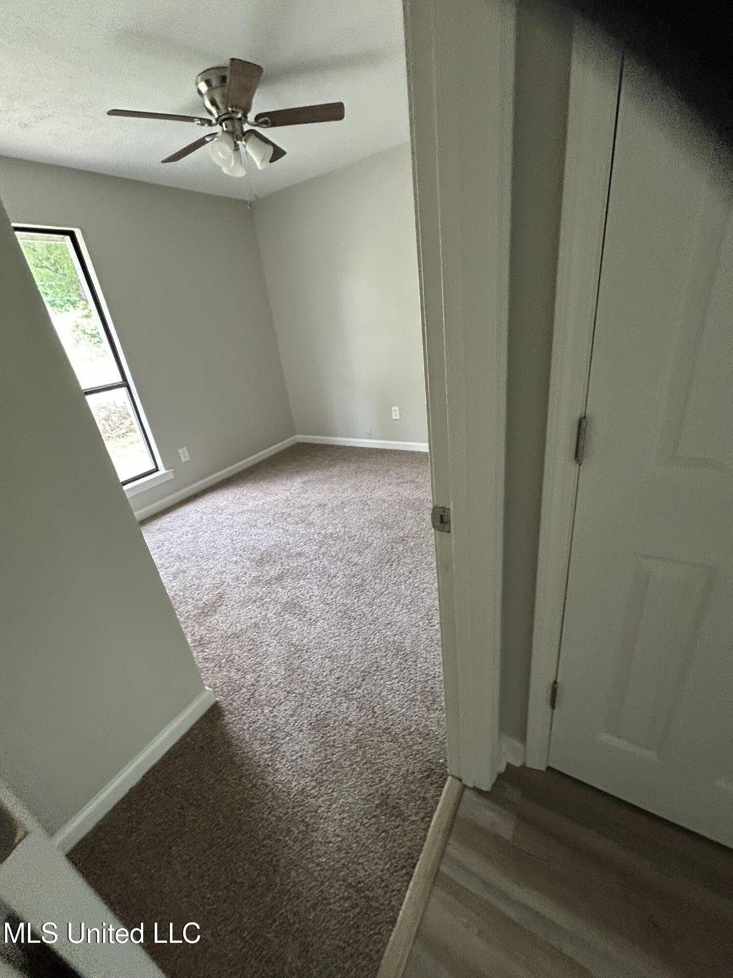 4534 Halls Ferry Road Property Photo 19
