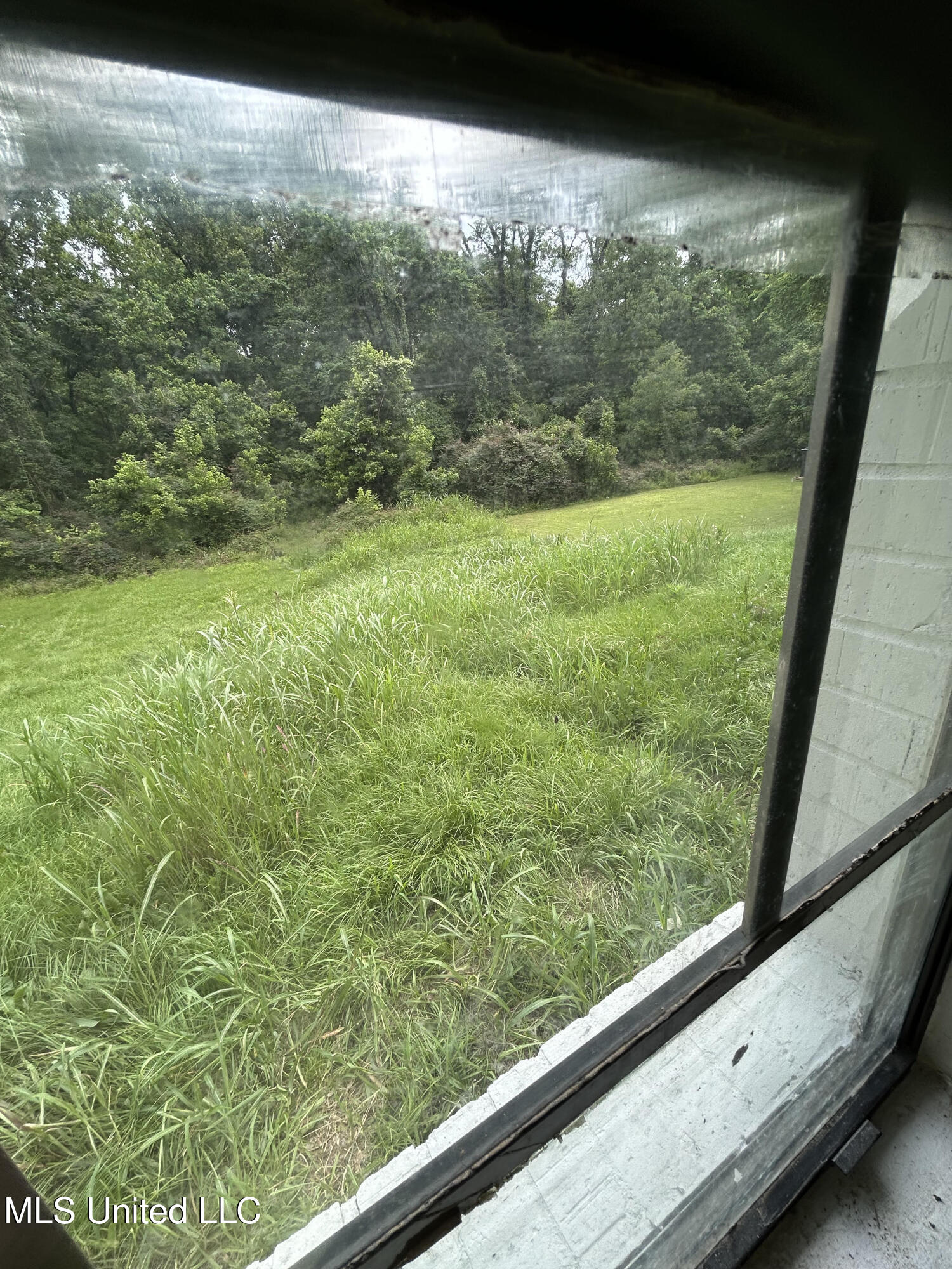 4534 Halls Ferry Road Property Photo 24