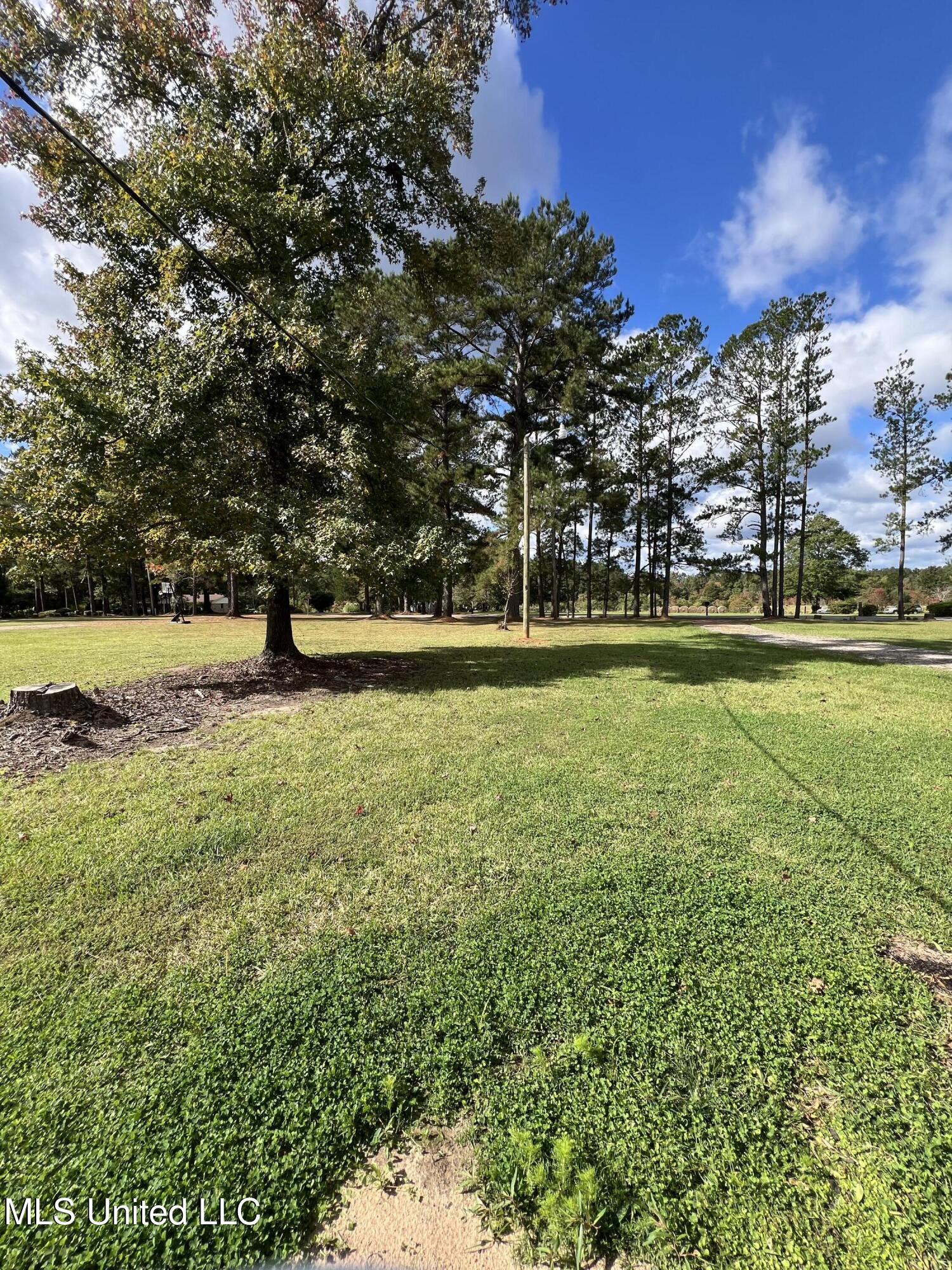 1074 Pleasant Grove Road Property Photo 16