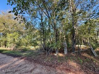 8 Newman Road Property Photo 13