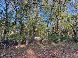 8 Newman Road Property Photo 14