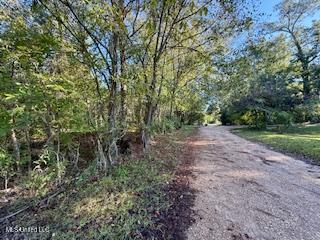 8 Newman Road Property Photo 15