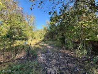 8 Newman Road Property Photo 16