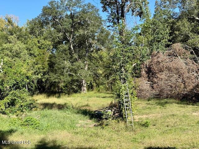 8 Newman Road Property Photo 16