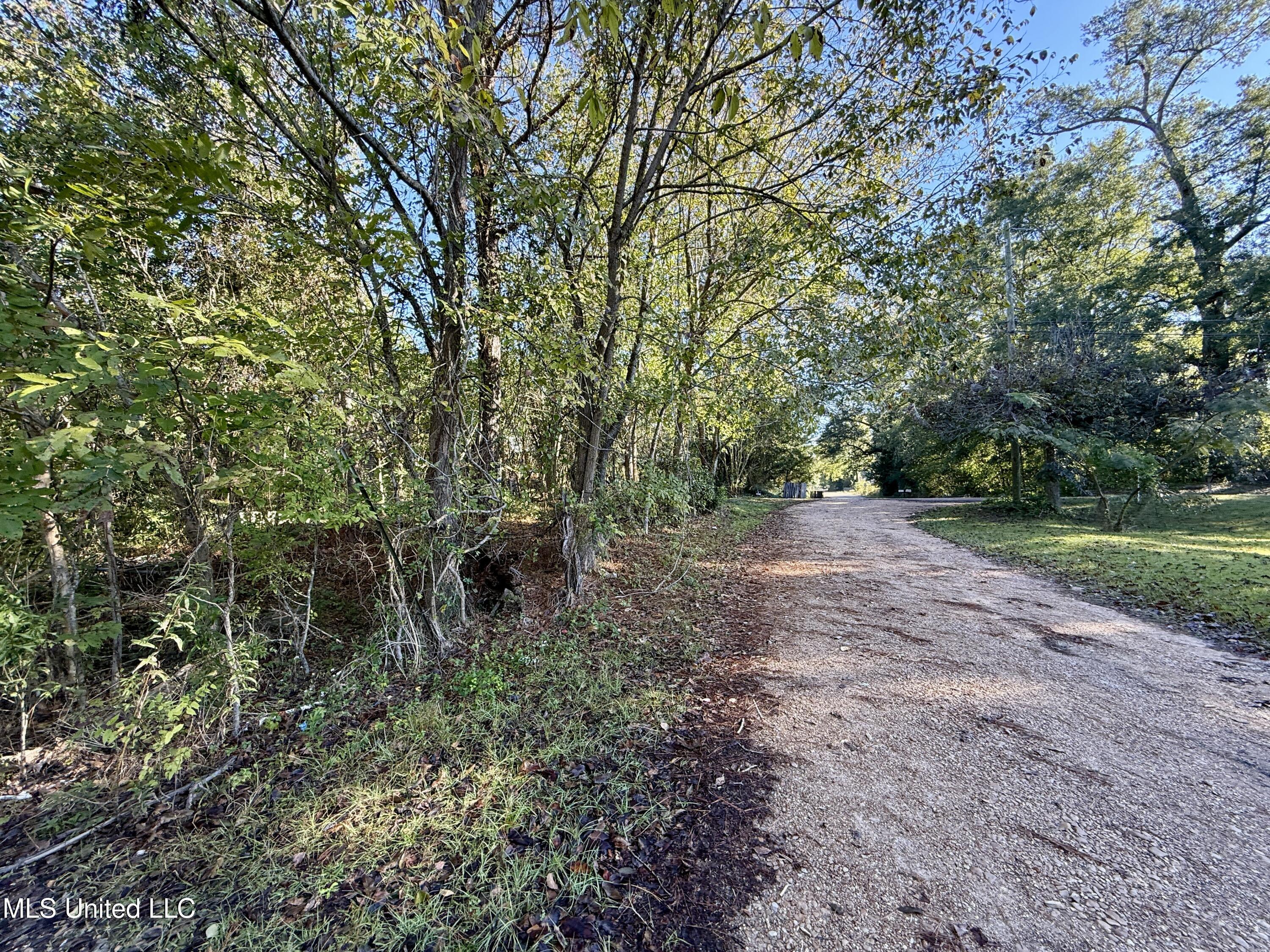 8 Newman Road Property Photo 31