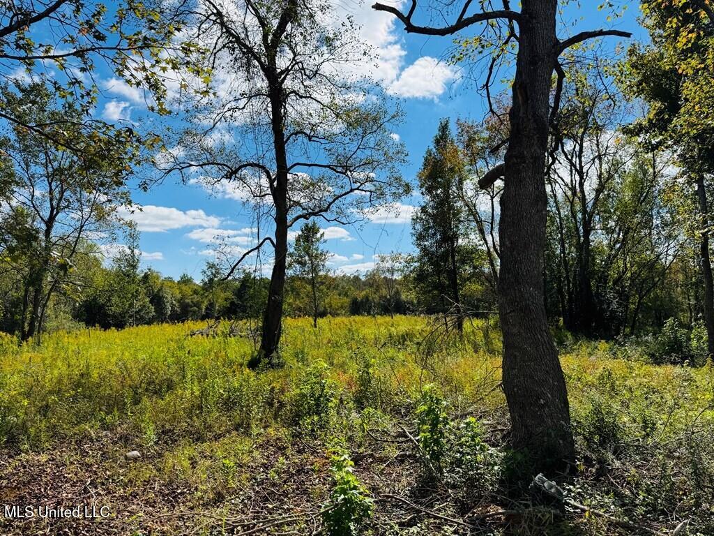 9 Rock Lane Property Photo 24