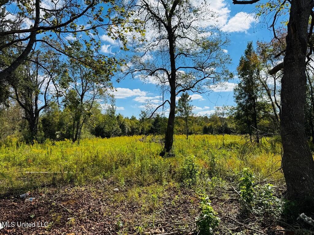 9 Rock Lane Property Photo 25