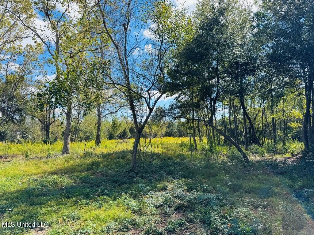 9 Rock Lane Property Photo 26