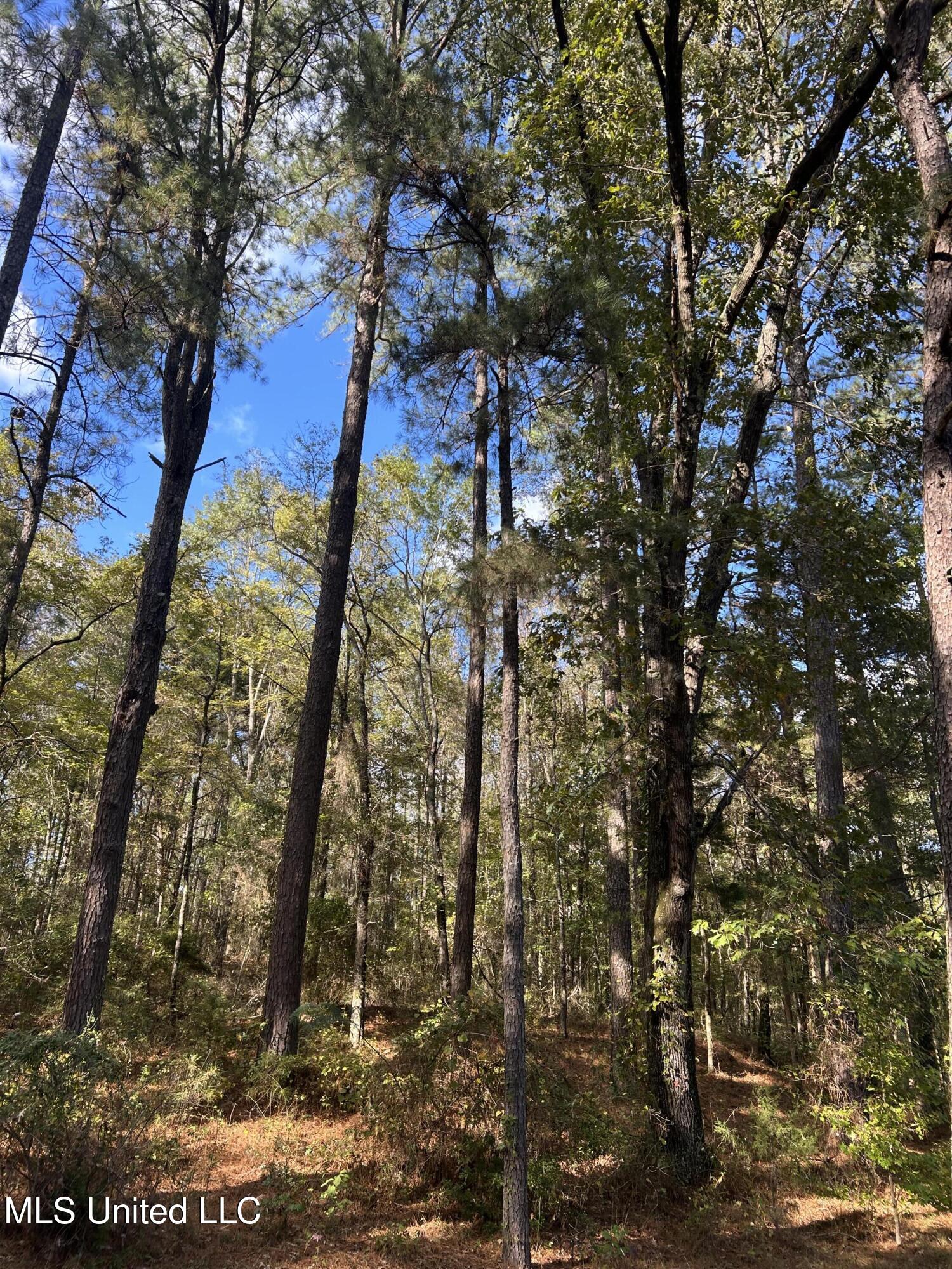 12757 W Highway 12 Property Photo 30