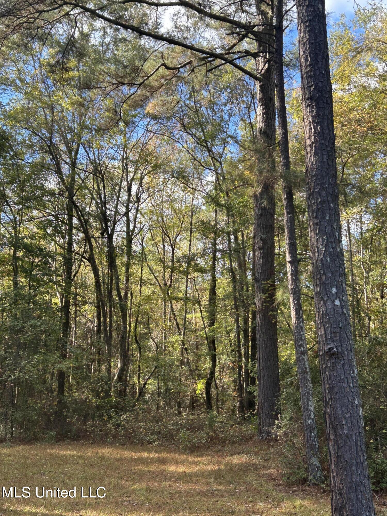 12757 W Highway 12 Property Photo 31