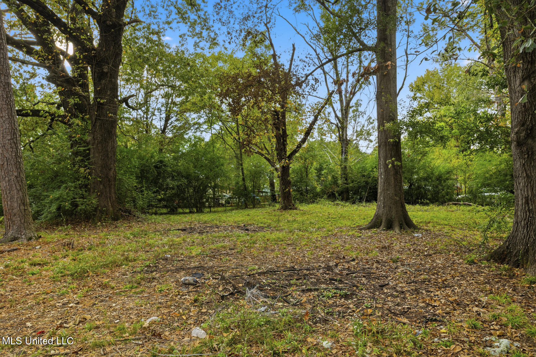 215 Windsor Drive Property Photo 17