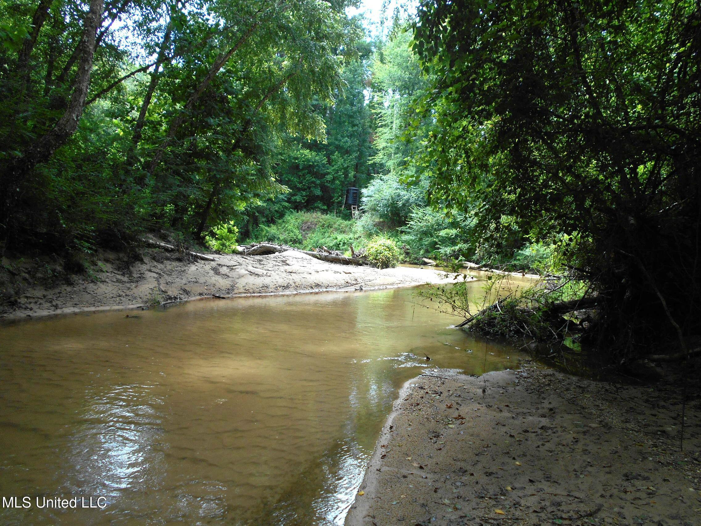 00 Inez Bryant Road Property Photo 1