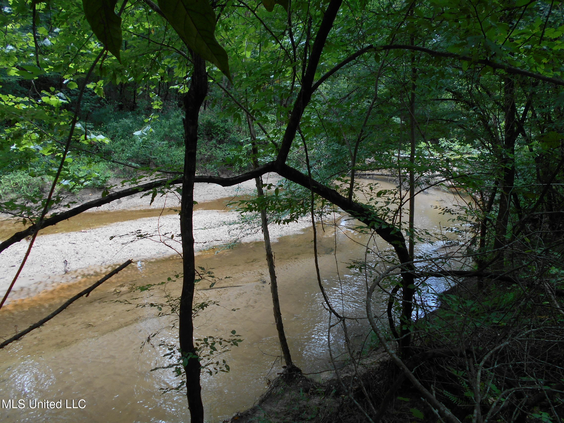 00 Inez Bryant Road Property Photo 2
