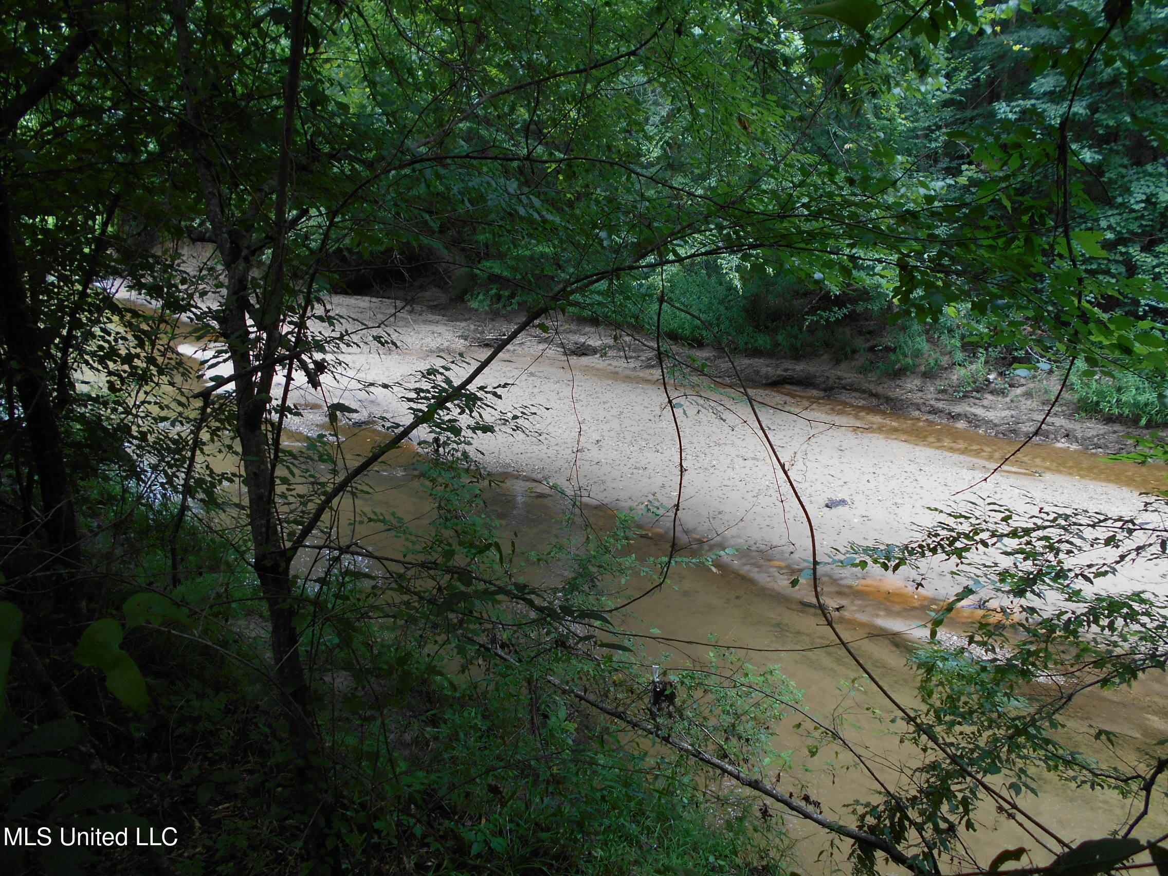 00 Inez Bryant Road Property Photo 3