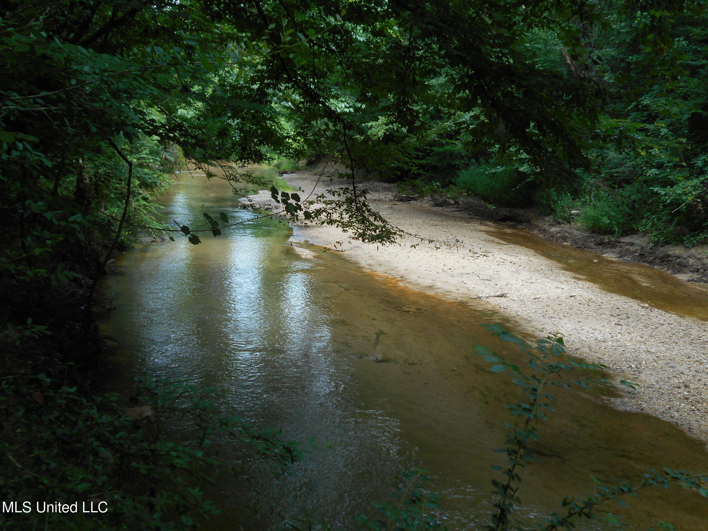 00 Inez Bryant Road Property Photo 4