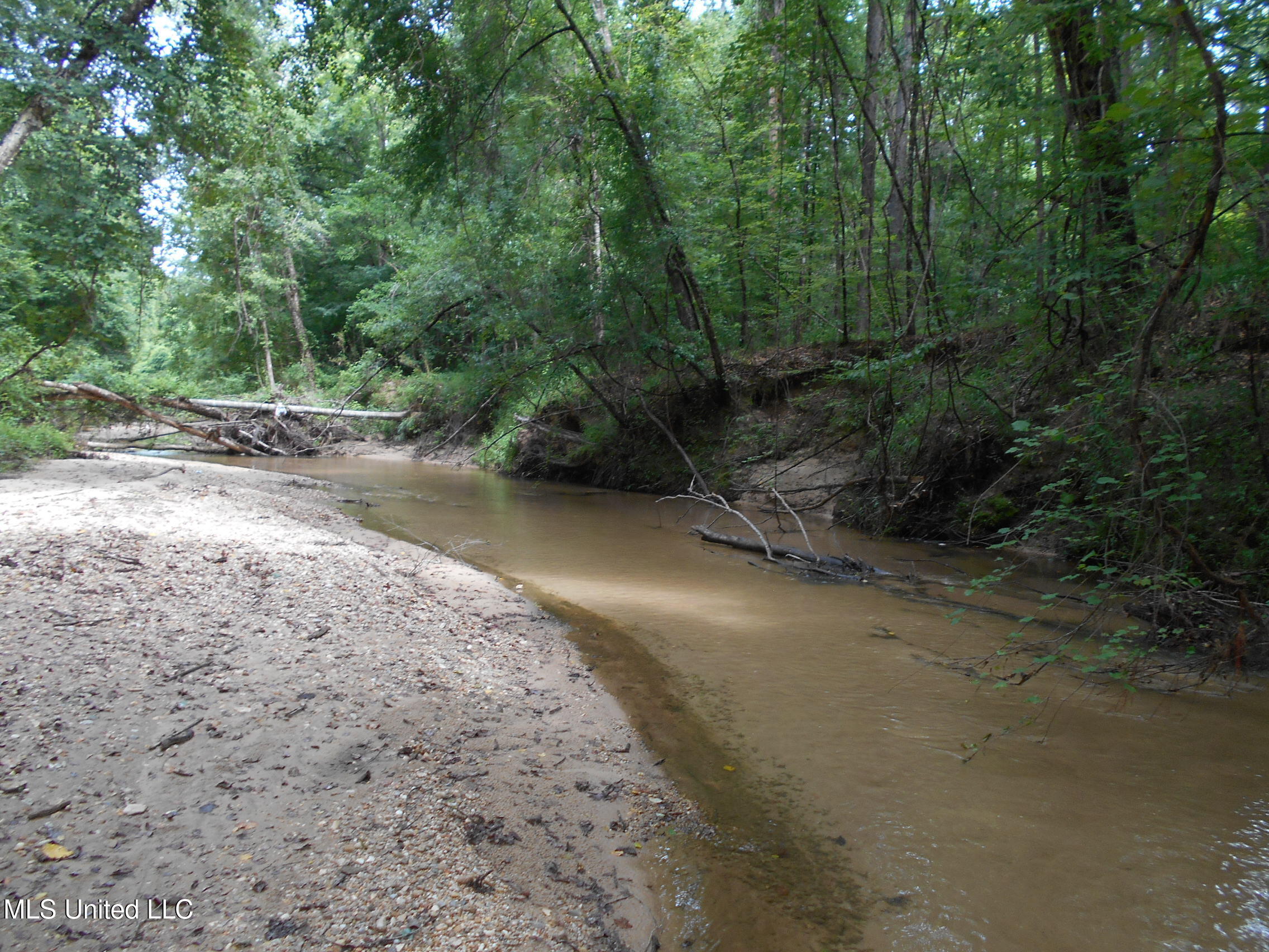 00 Inez Bryant Road Property Photo 5