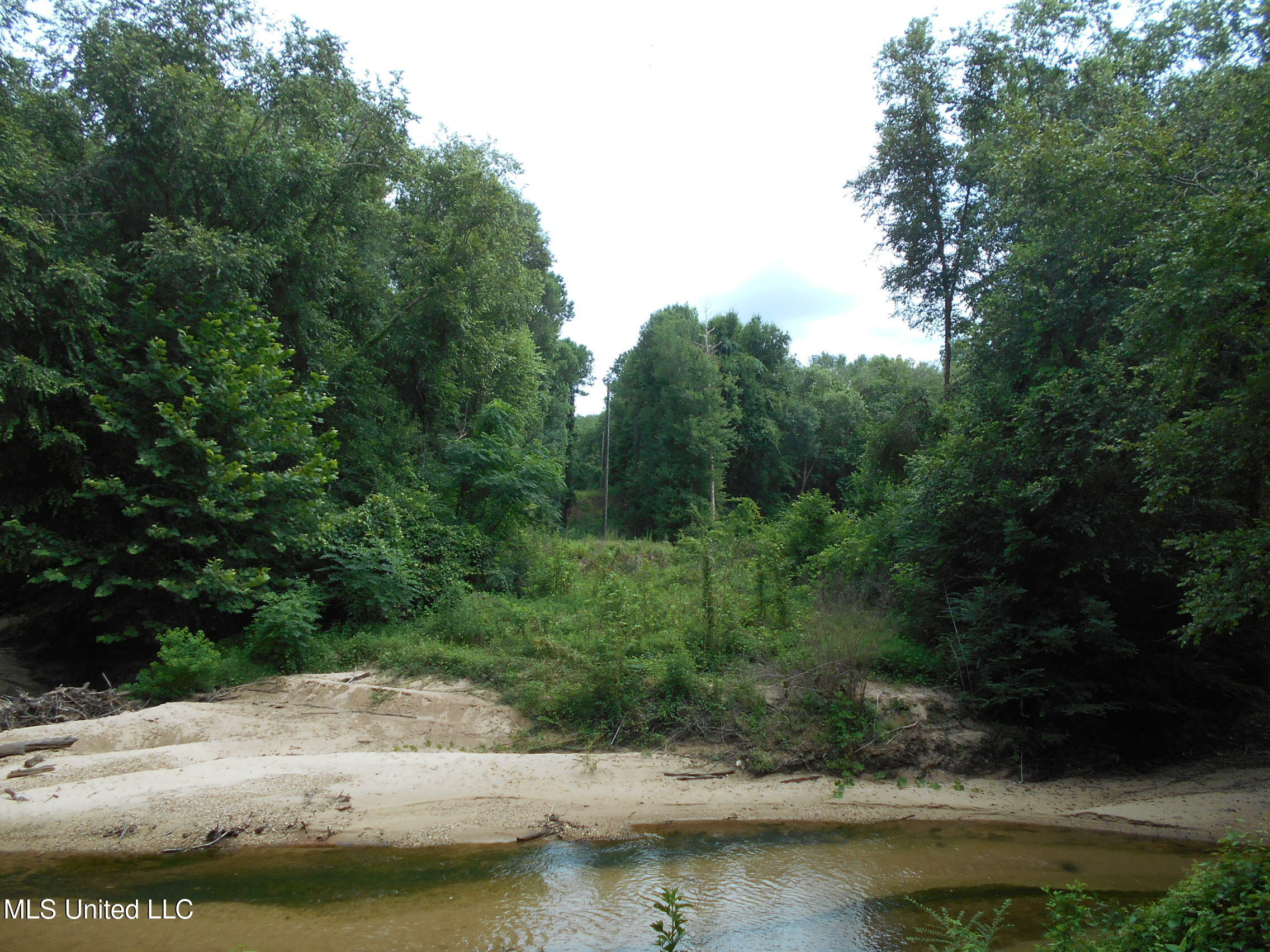 00 Inez Bryant Road Property Photo 6