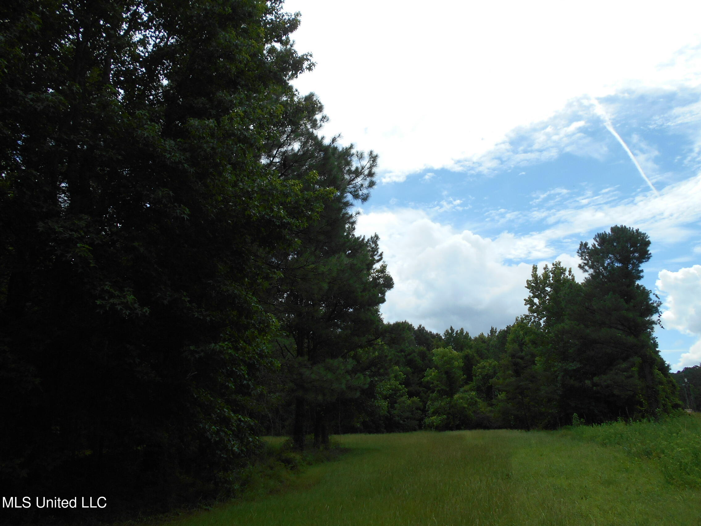 00 Inez Bryant Road Property Photo 7