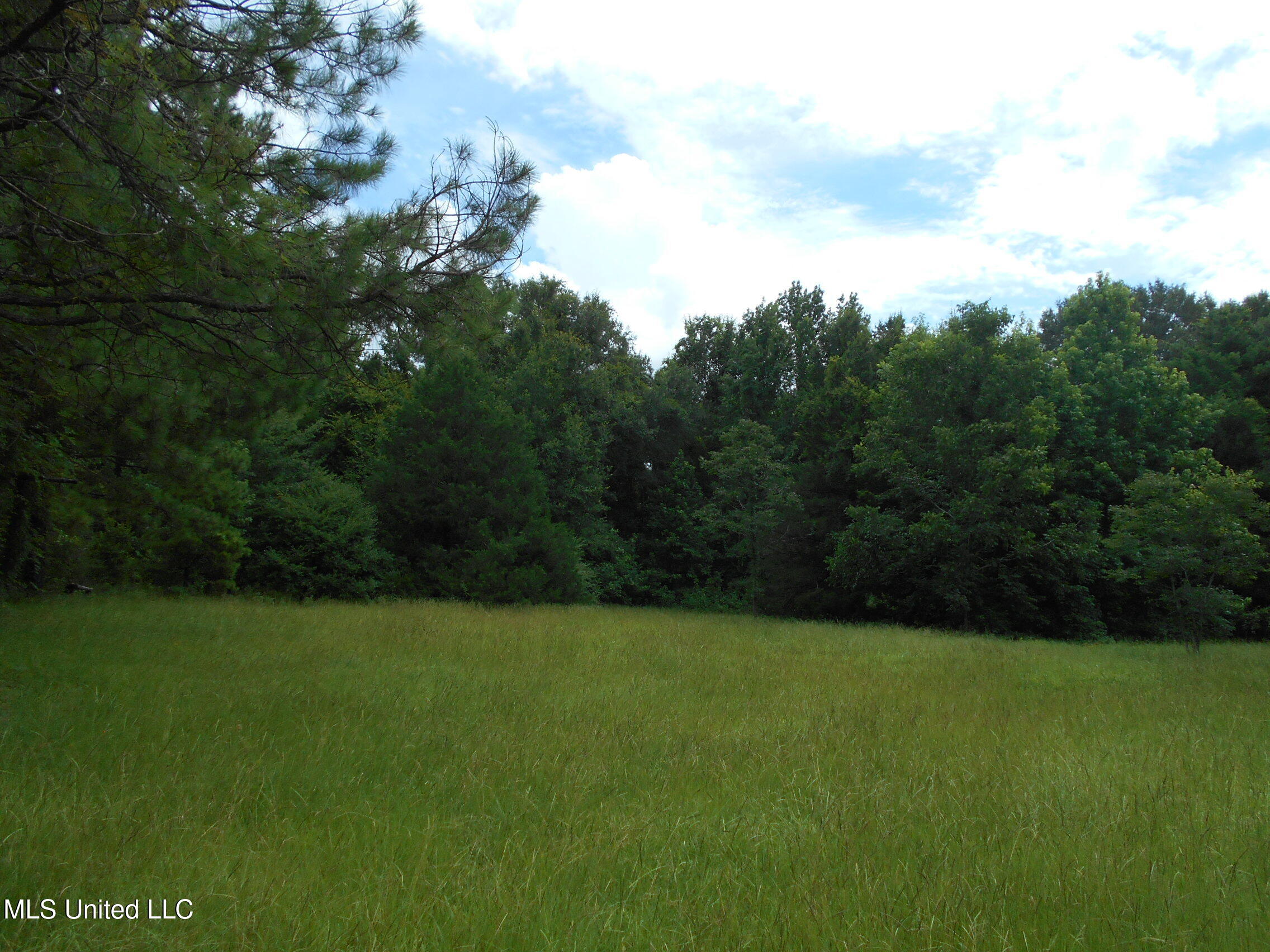 00 Inez Bryant Road Property Photo 9
