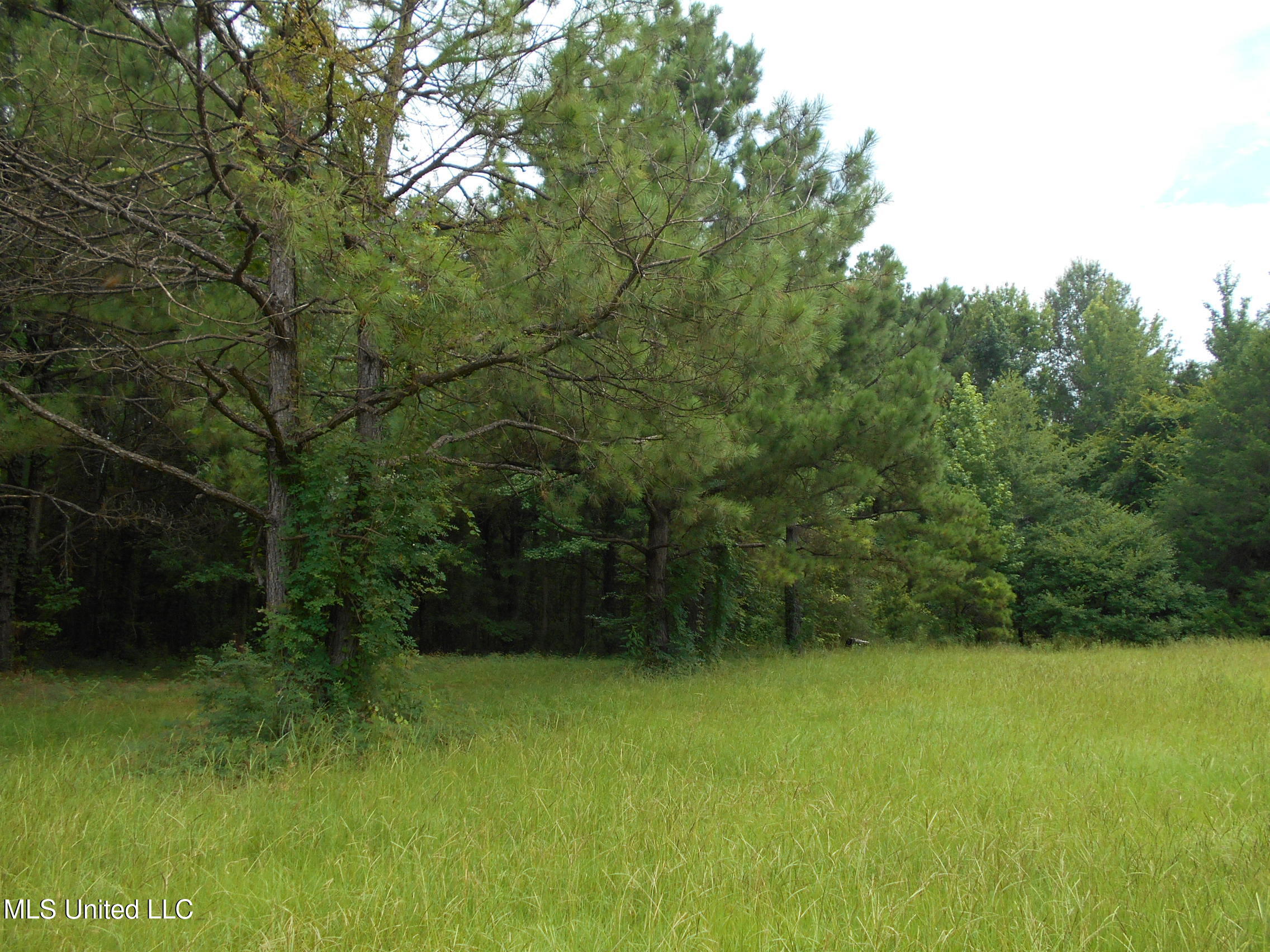 00 Inez Bryant Road Property Photo 10