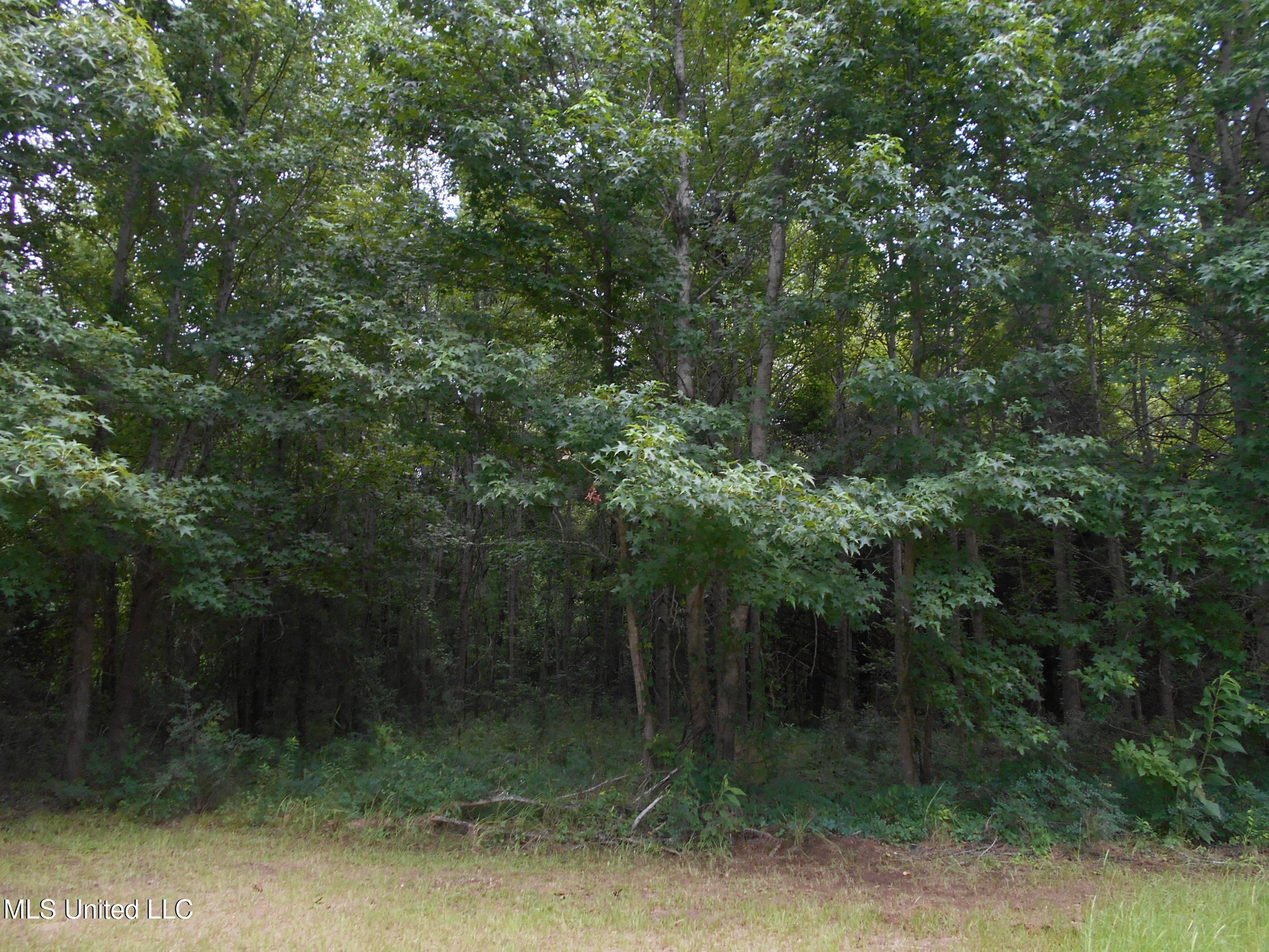 00 Inez Bryant Road Property Photo 11