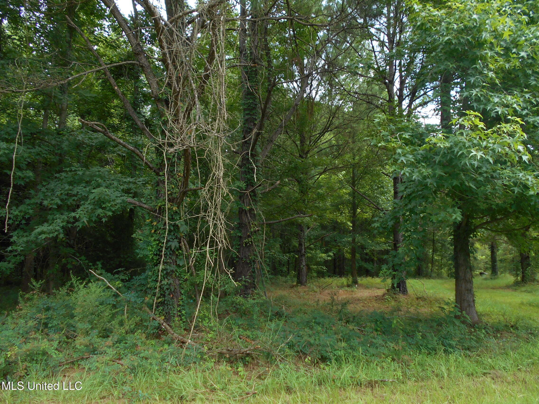 00 Inez Bryant Road Property Photo 12