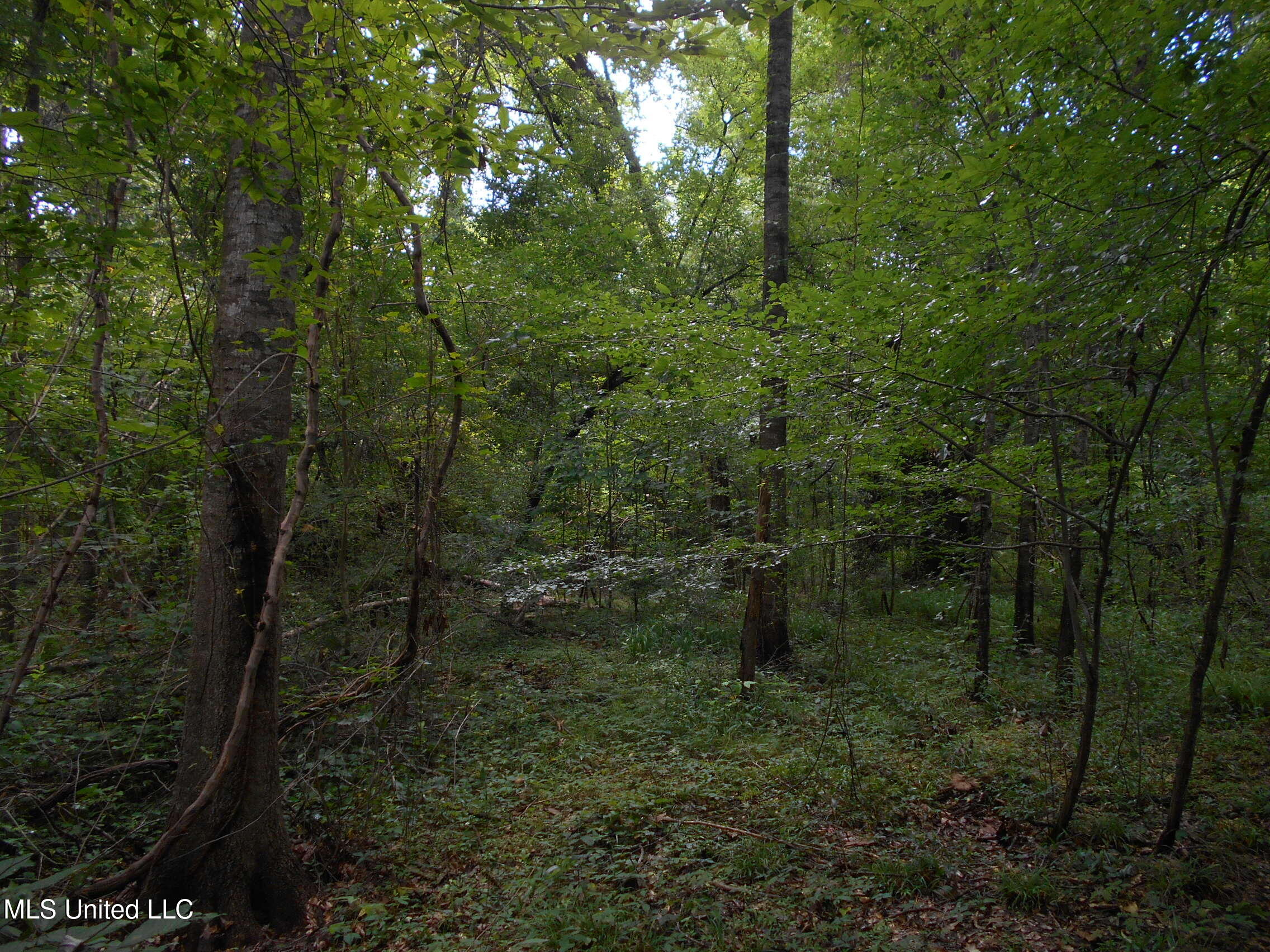 00 Inez Bryant Road Property Photo 18