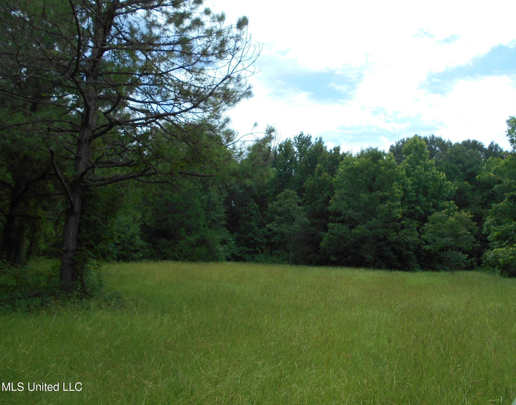 00 Inez Bryant Road Property Photo 20