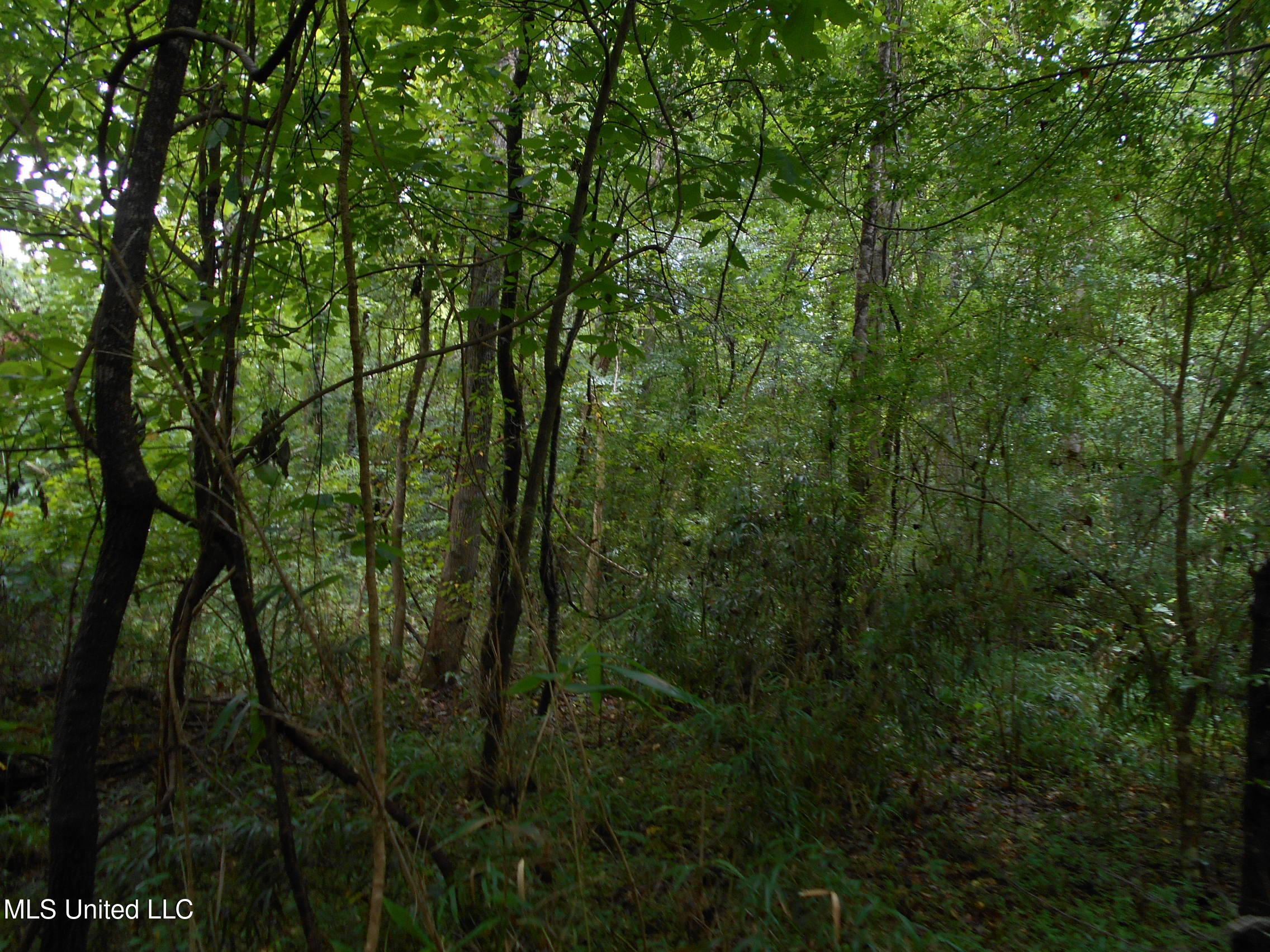 00 Inez Bryant Road Property Photo 22