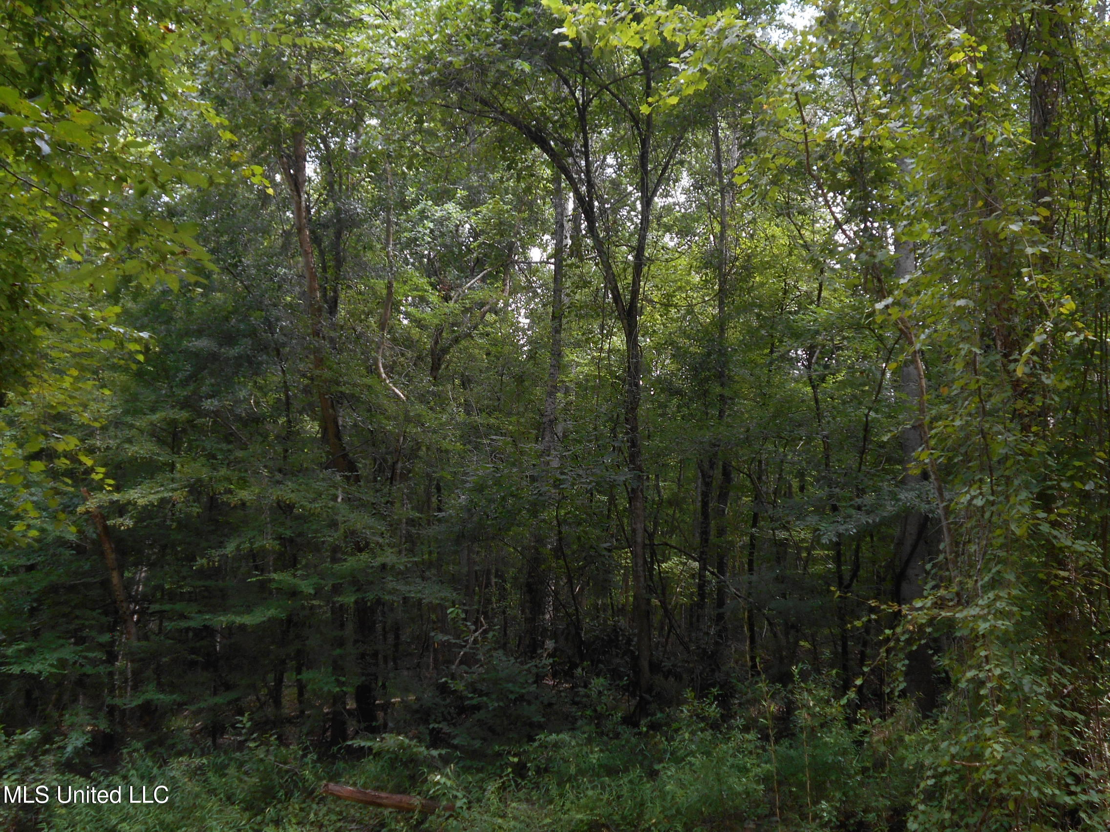 00 Inez Bryant Road Property Photo 23