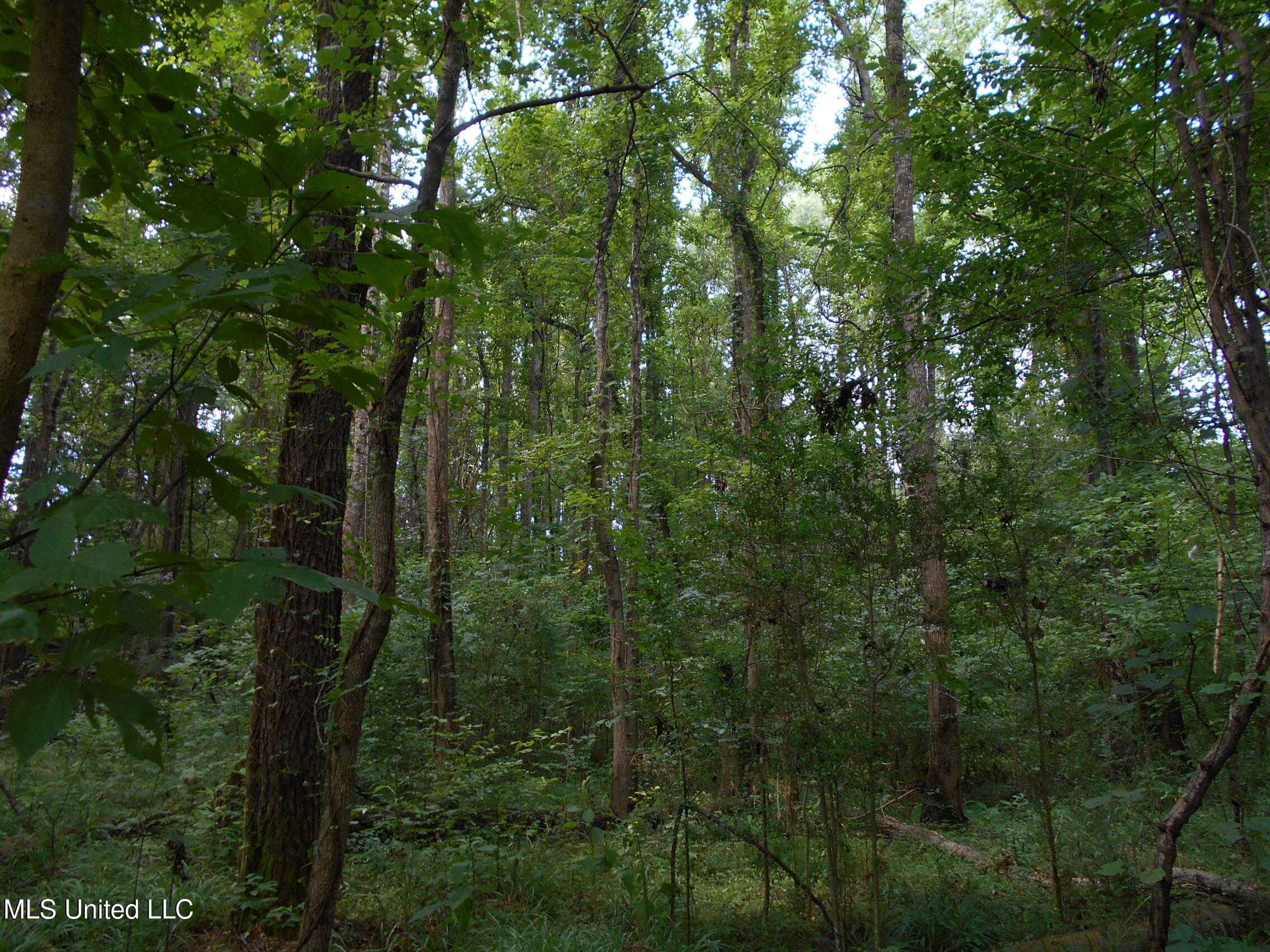 00 Inez Bryant Road Property Photo 27