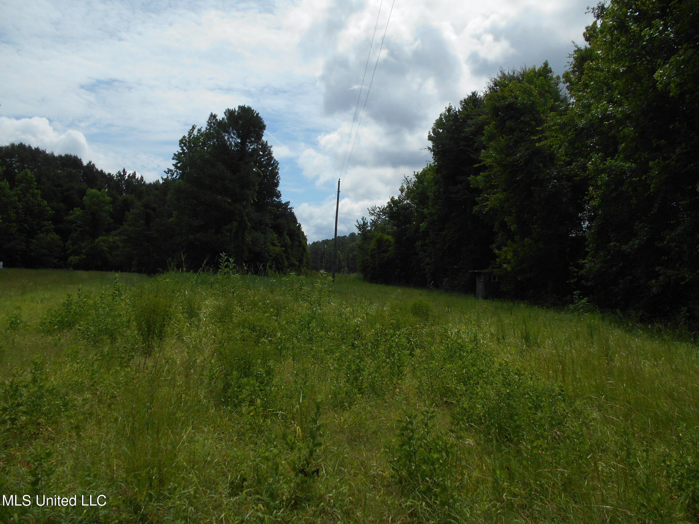 00 Inez Bryant Road Property Photo 30