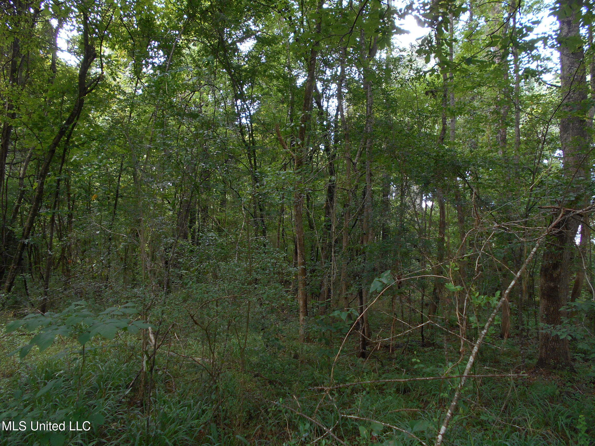 00 Inez Bryant Road Property Photo 31