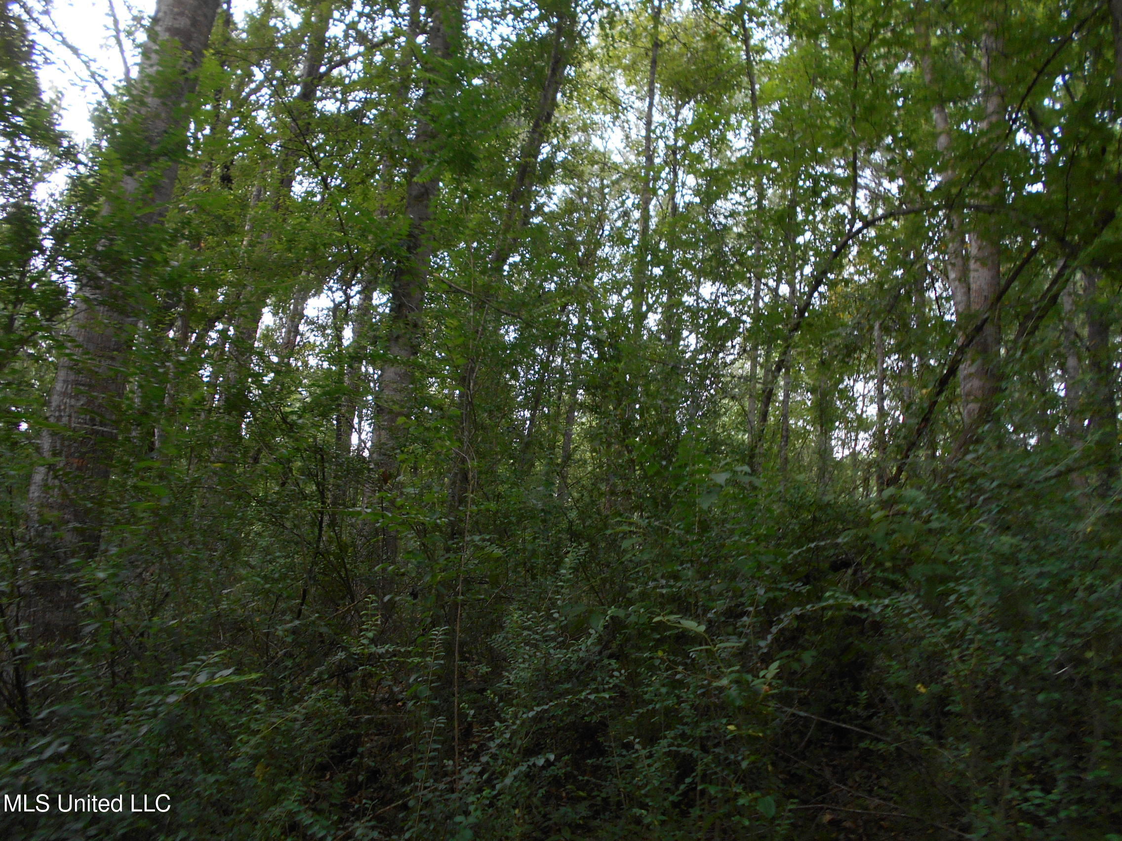 00 Inez Bryant Road Property Photo 35