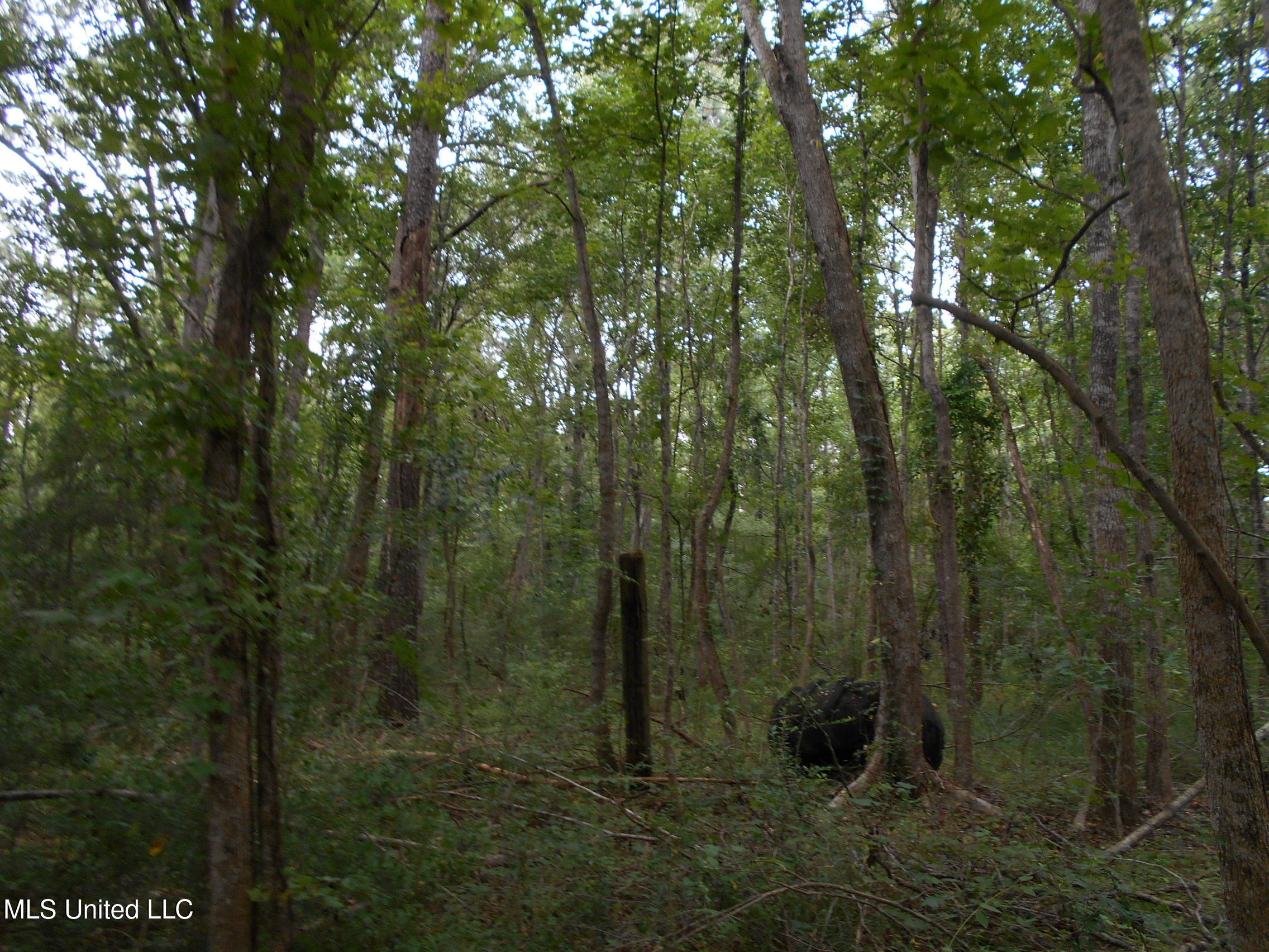 00 Inez Bryant Road Property Photo 36