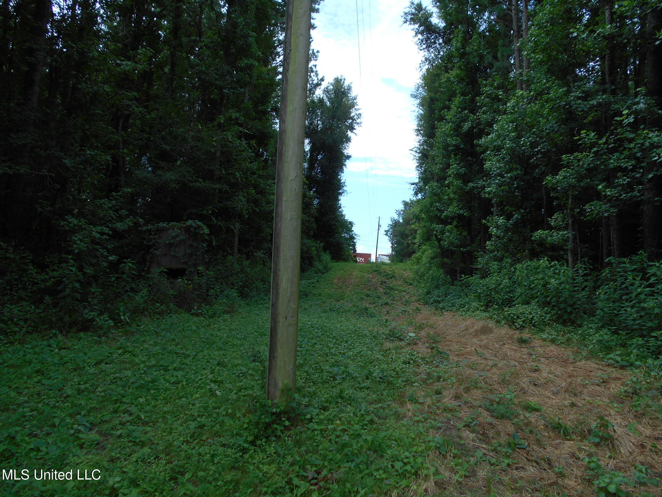 00 Inez Bryant Road Property Photo 41