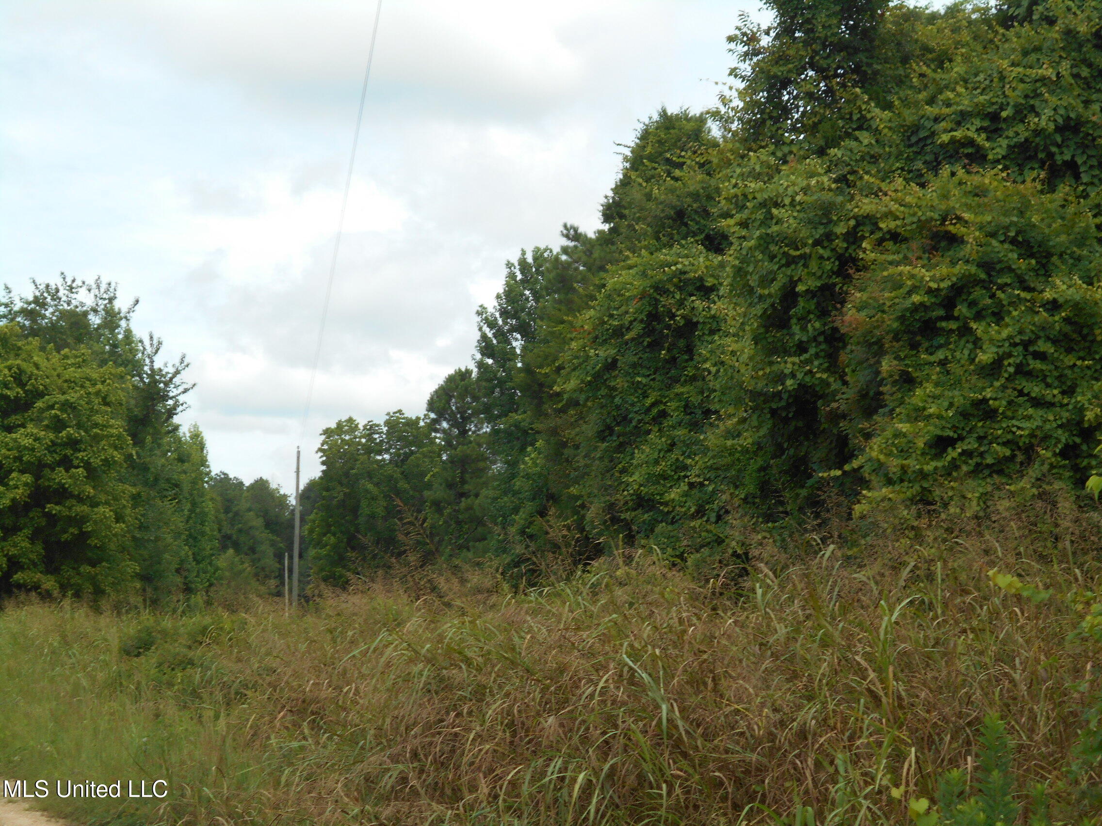 00 Inez Bryant Road Property Photo 42