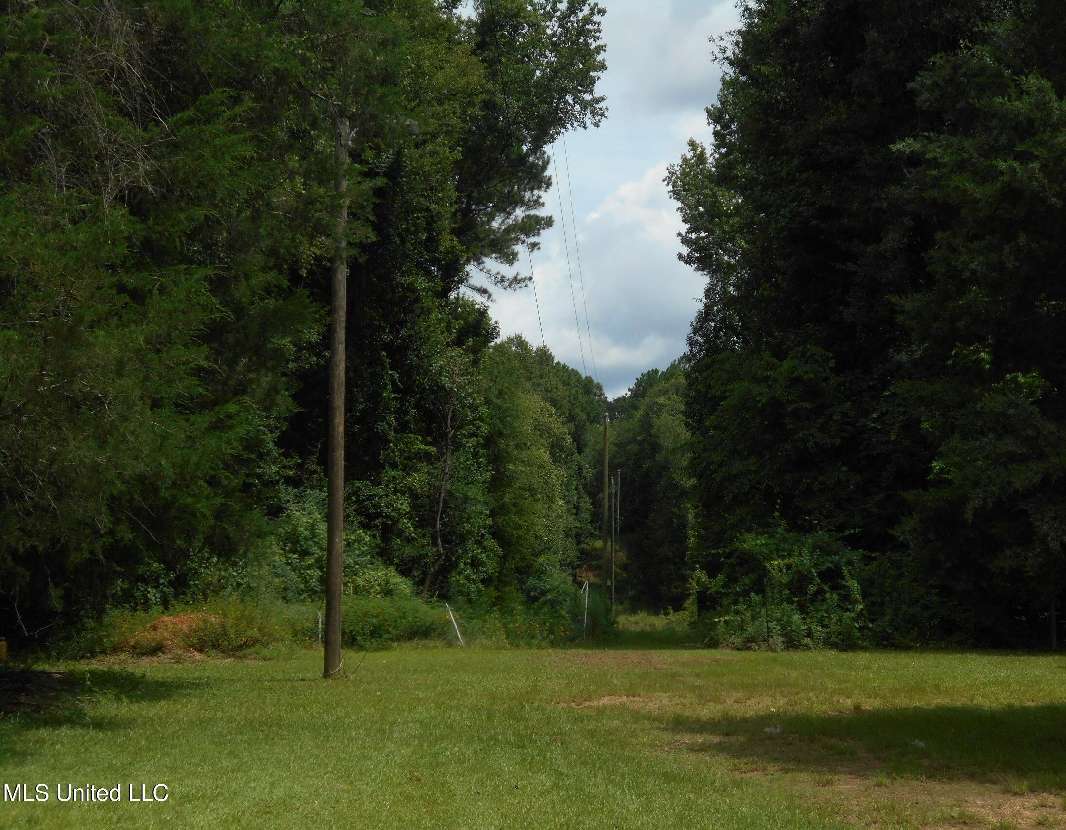00 Inez Bryant Road Property Photo 43