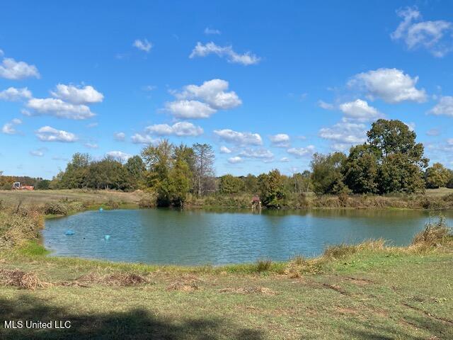 6183 Yellowdog Road Property Photo 2