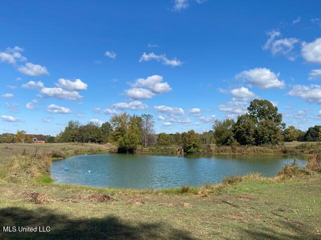 6183 Yellowdog Road Property Photo 3