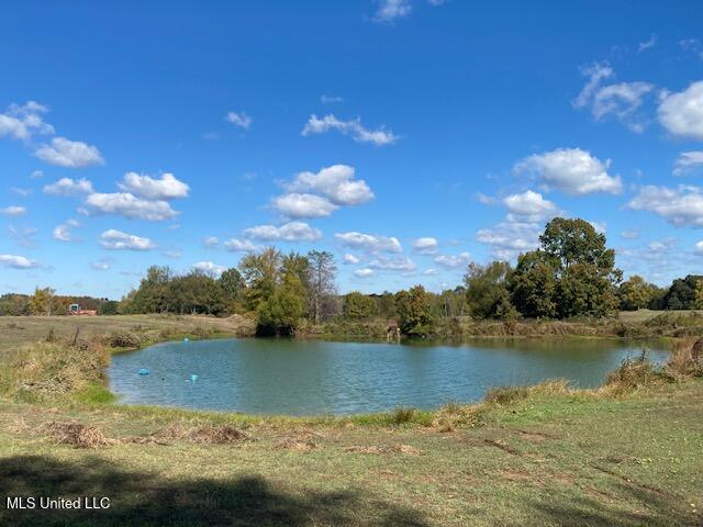 6183 Yellowdog Road Property Photo 4