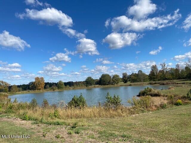 6183 Yellowdog Road Property Photo 8