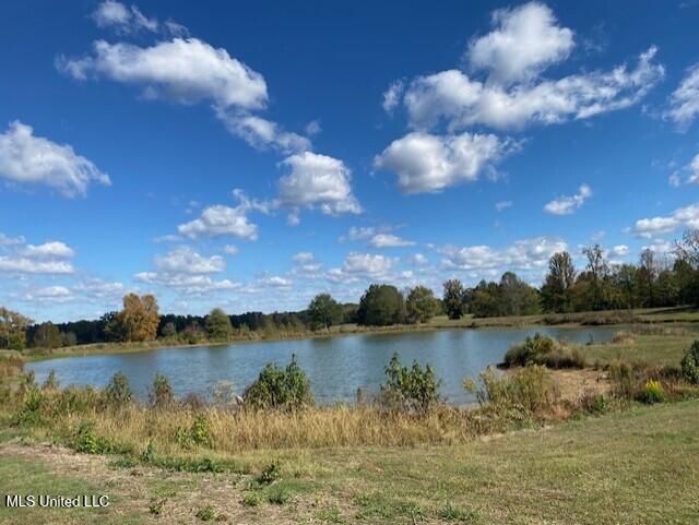 6183 Yellowdog Road Property Photo 9