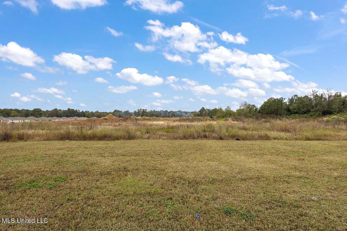 517 Birchwood Boulevard Property Photo 26