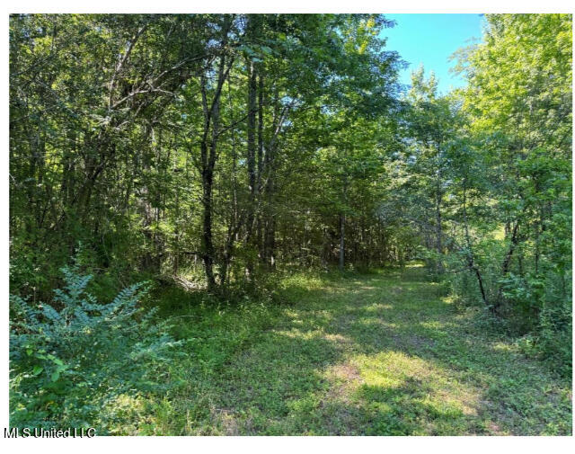 3605 Byhalia Road Property Photo 3
