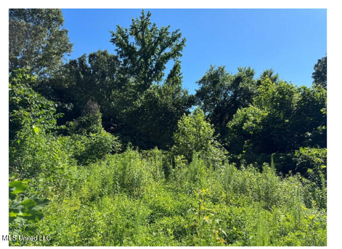 3605 Byhalia Road Property Photo 4