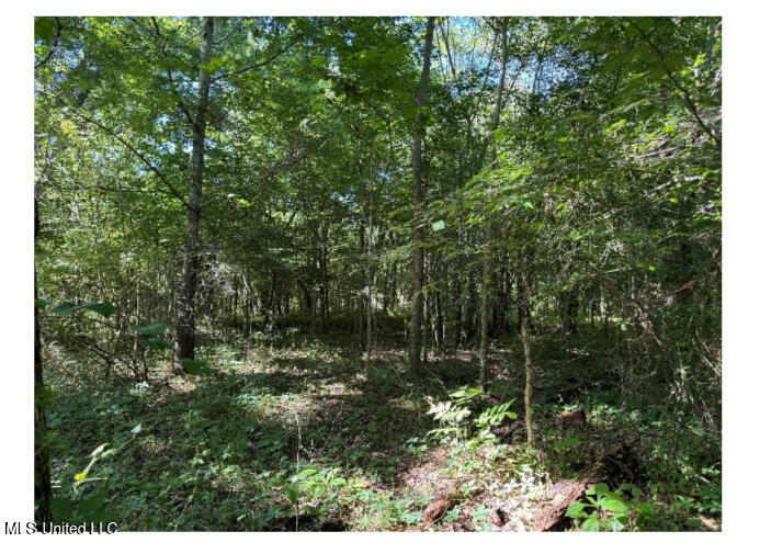 3605 Byhalia Road Property Photo 5