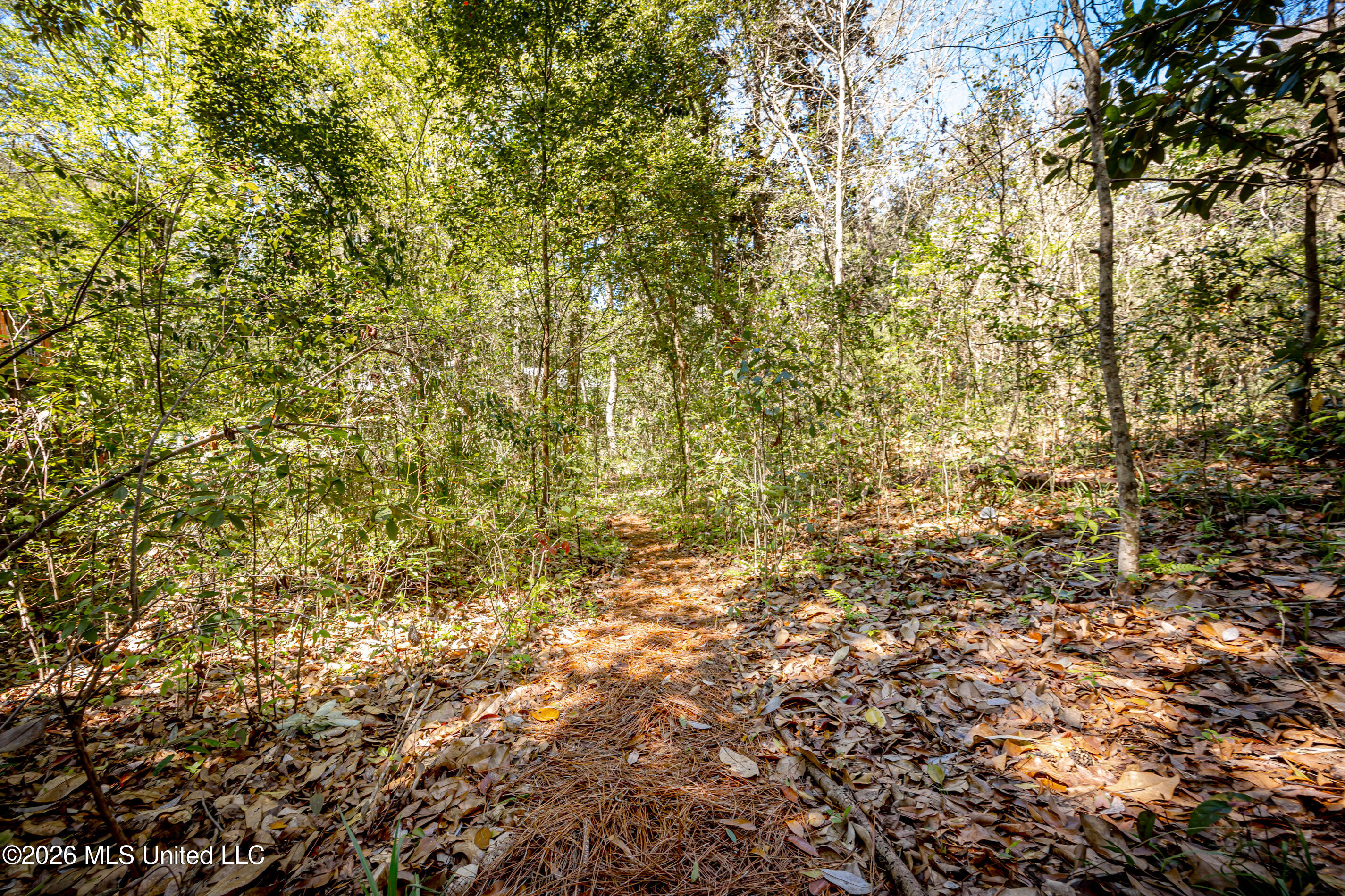 1103 Le Voyageur Drive Property Photo 132